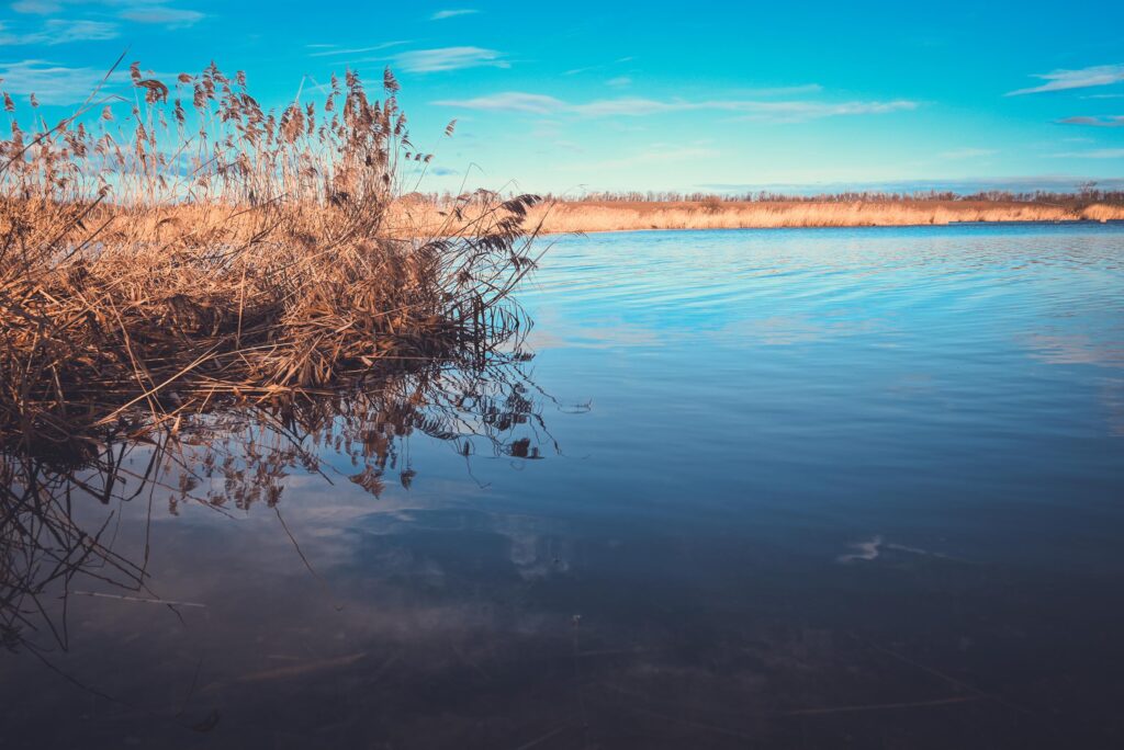 Crankbait Crew Łowisko Chwałów PZW No Kill 797 Dolny śląsk