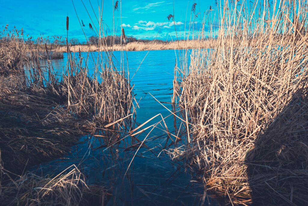 Crankbait Crew Łowisko Chwałów PZW No Kill 797 Dolny śląsk