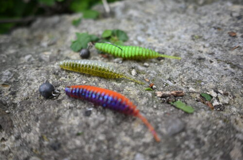 FishUp Tanta Crankbait Crew Blog Wędkarski